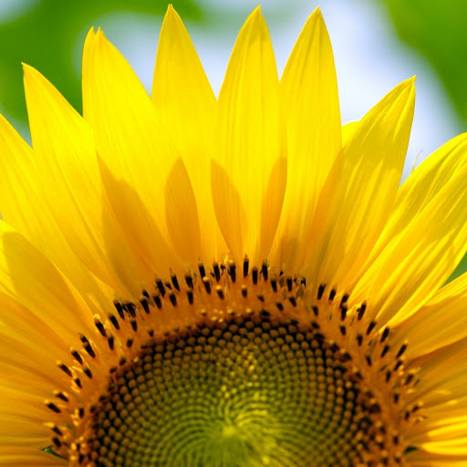 Hd-166048-ascw166048