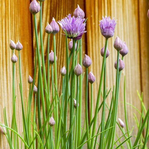 Hd-174654-ascw174654