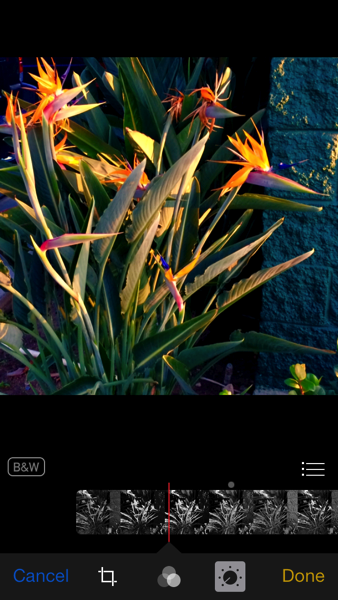 IMG_7966.PNG iOS 8 photos app black and white undone