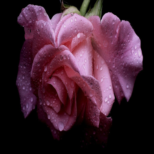 Hd-162961-ascw162961