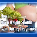 Pregnancy Weight Gain Manual logo