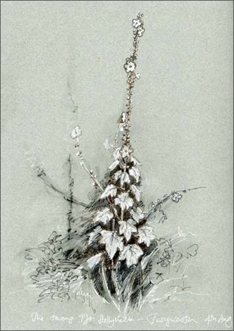 [hollyhock%2520bg%255B5%255D.jpg]