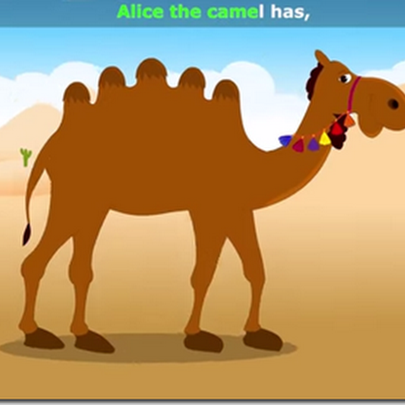 Rimas en inglés para niños Alice The Camel.