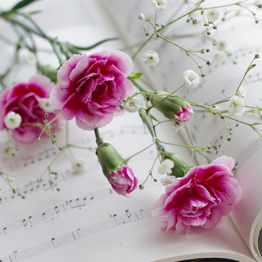 Hd-176162-ascw176162