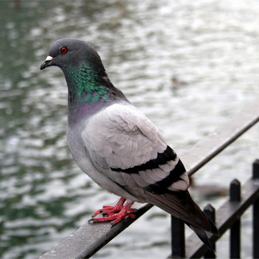 Hd-177844-ascw177844