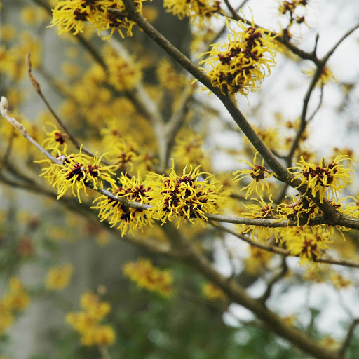 Hd-167802-ascw167802