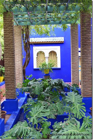 Jardín Majorelle-DSC_0406