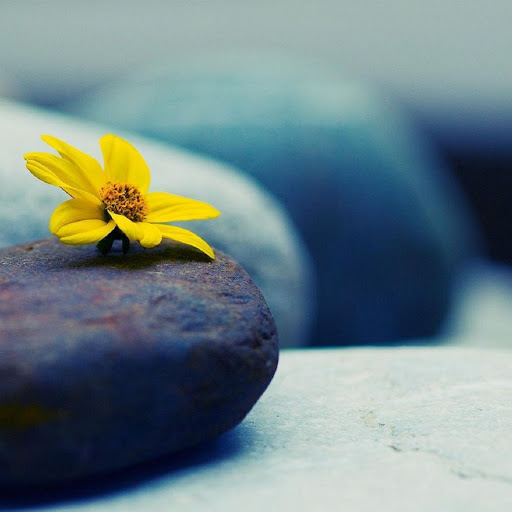 Hd-136876-ascw136876