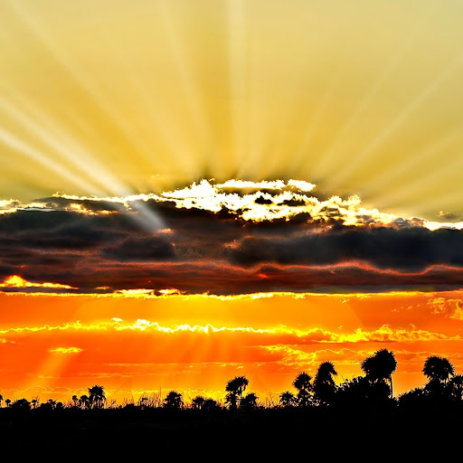 Hd-131255-ascw131255