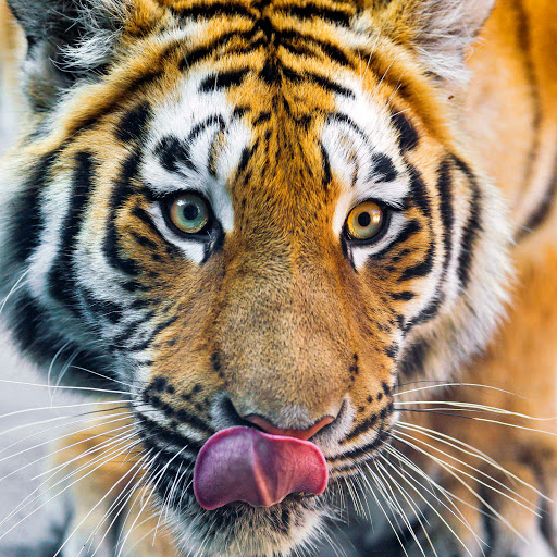 Hd-137983-ascw137983