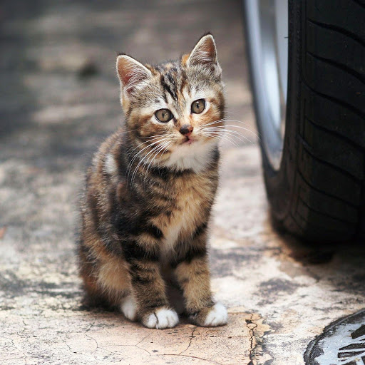 Hd-184615-ascw184615