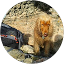 Image Google de Nicole Dehaas