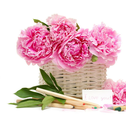 Hd-143594-ascw143594