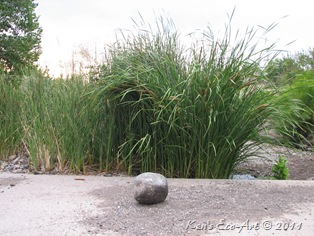 IMG_4797 IMG_4797