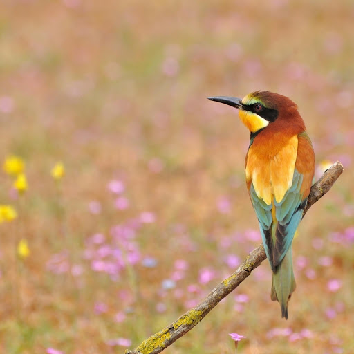 Hd-178584-ascw178584