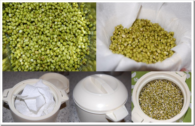 Sprouted green lentil salad Process