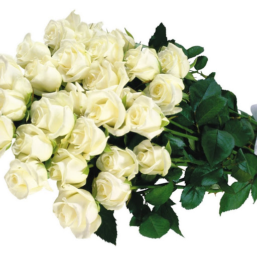 Hd-143849-ascw143849