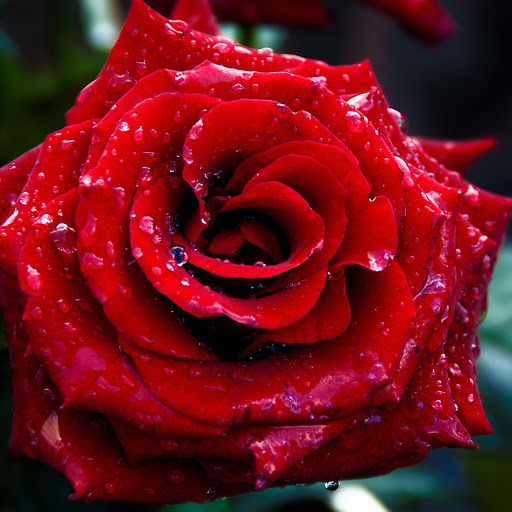 Hd-132389-ascw132389