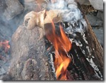 Samhain fire bone log