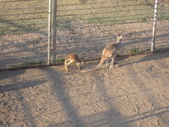 IMG_8637 IMG_8637