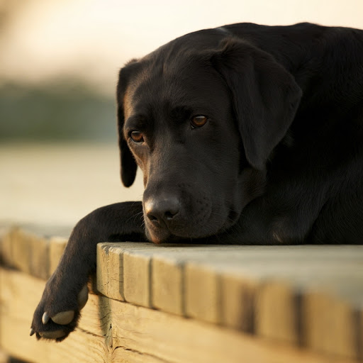 Hd-134684-ascw134684