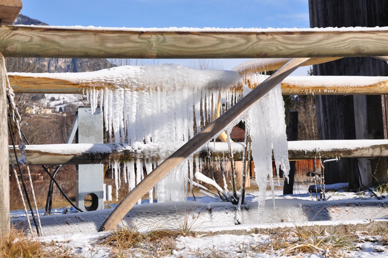 DSC_4419.JPG DSC 4419