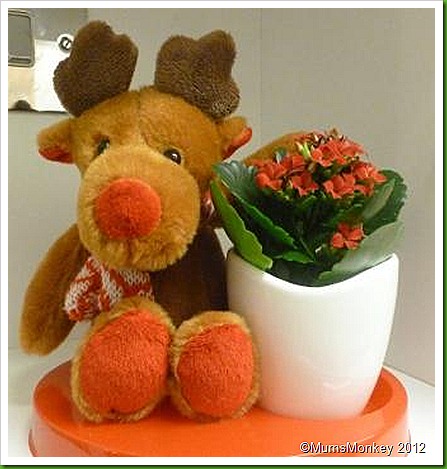 Tesco Reindeer Plant Christmas Decoration