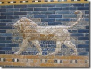 IMG_6985 IMG_6985