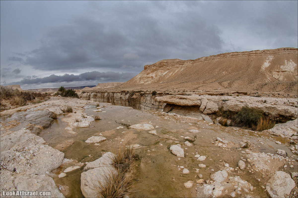 Ручей Акев и источник Эйн Акев в пустыне Негев. LookAtIsrael.com - Фото путешествия по Израилю