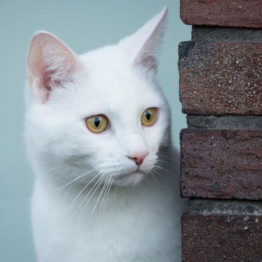 Hd-177730-ascw177730