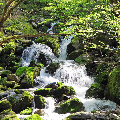 Hd-142065-ascw142065