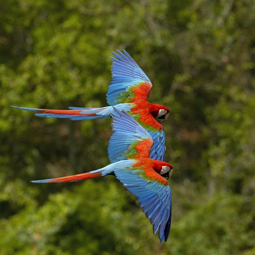 Hd-181318-ascw181318