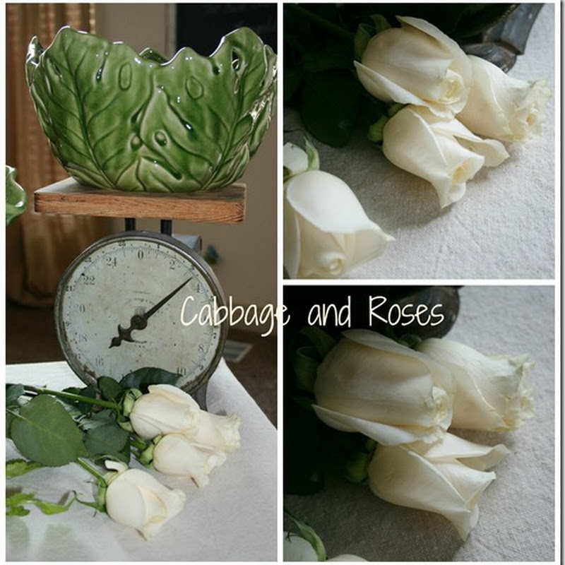 Cabbage and Roses. . . - Have a Daily Cup of Mrs. Olson