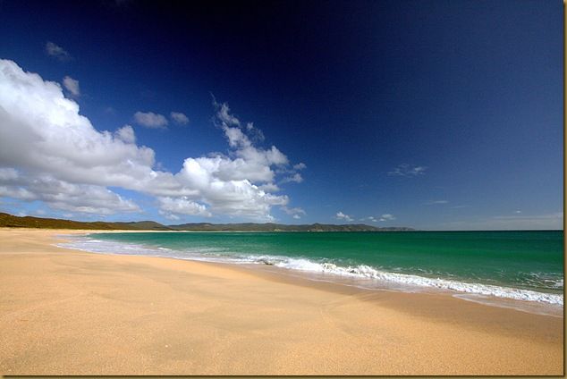 Spirits Bay Beach