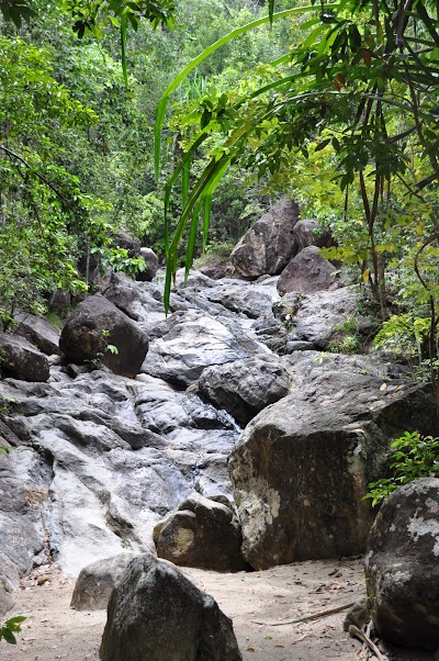 DSC_0725.JPG