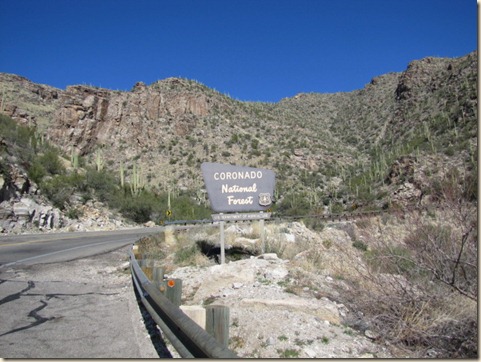 Tucson Drive & Mt. Lemmon 008