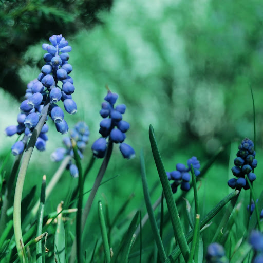 Hd-156576-ascw156576