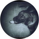 Boof Head