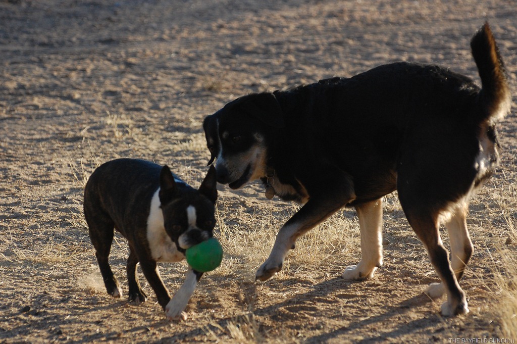 [DSC_7324%255B3%255D.jpg]