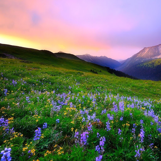 Hd-147602-ascw147602