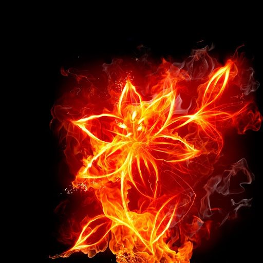 Hd-150830-ascw150830