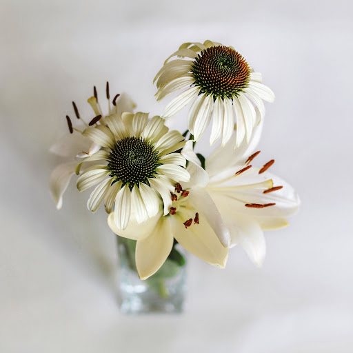 Hd-147109-ascw147109