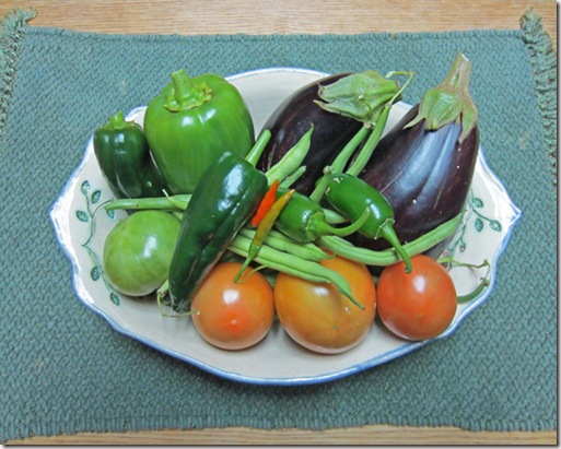 Eggplants, tomatoes and peppers