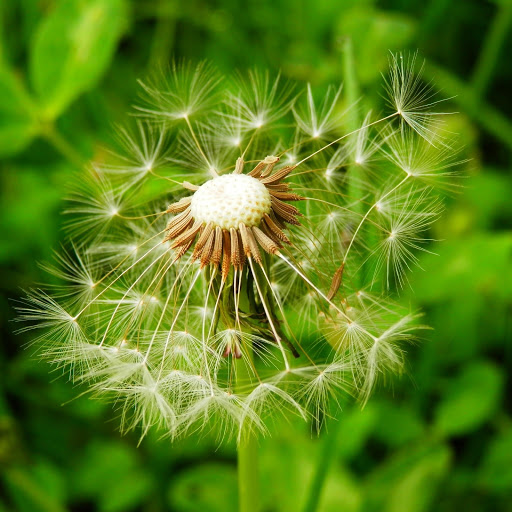 Hd-174730-ascw174730