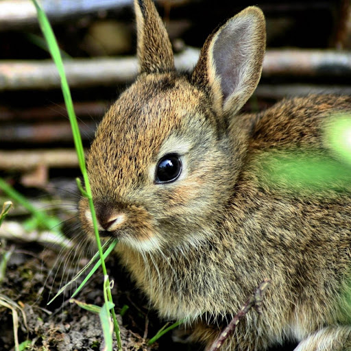 Hd-170839-ascw170839