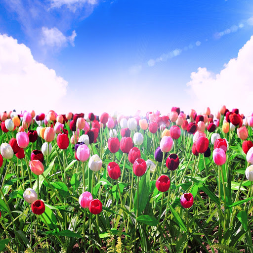 Hd-164418-ascw164418