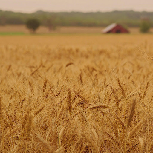 Hd-158307-ascw158307