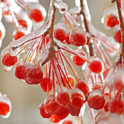 Hd-132455-ascw132455