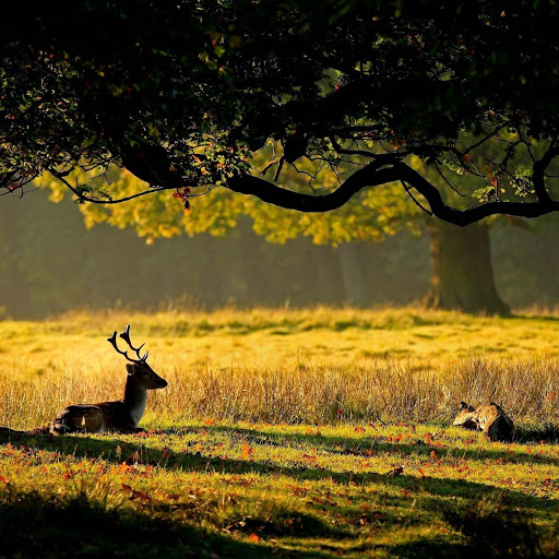 Hd-145538-ascw145538