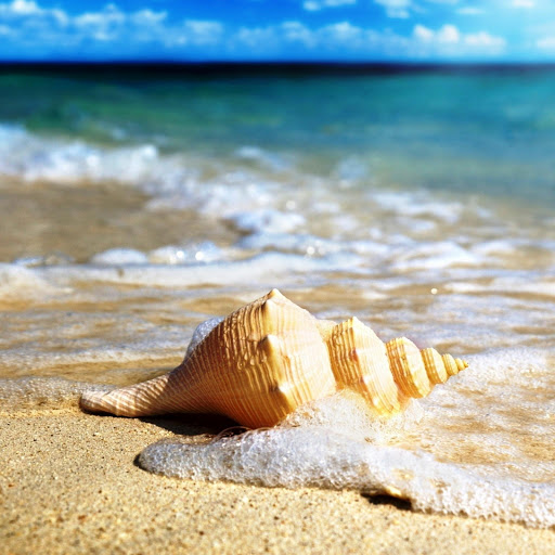 Hd-176289-ascw176289